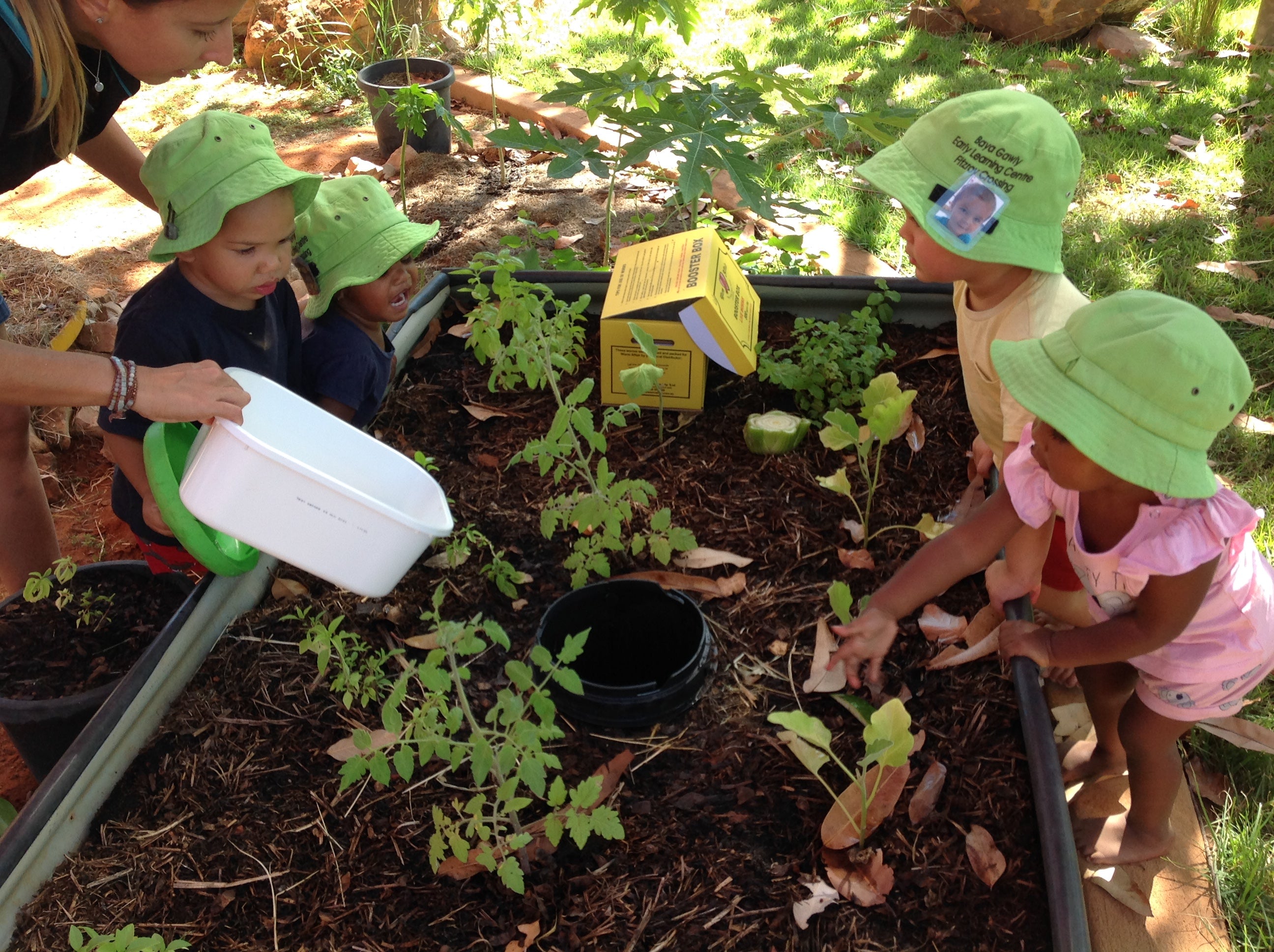 Baya Gawiy Garden to Plate Project