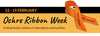 Standing Together for Ochre Ribbon Week 2025