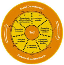 'Innovation in Service Delivery' - Enhanced Response Social and Emotional Wellbeing (SEWB)