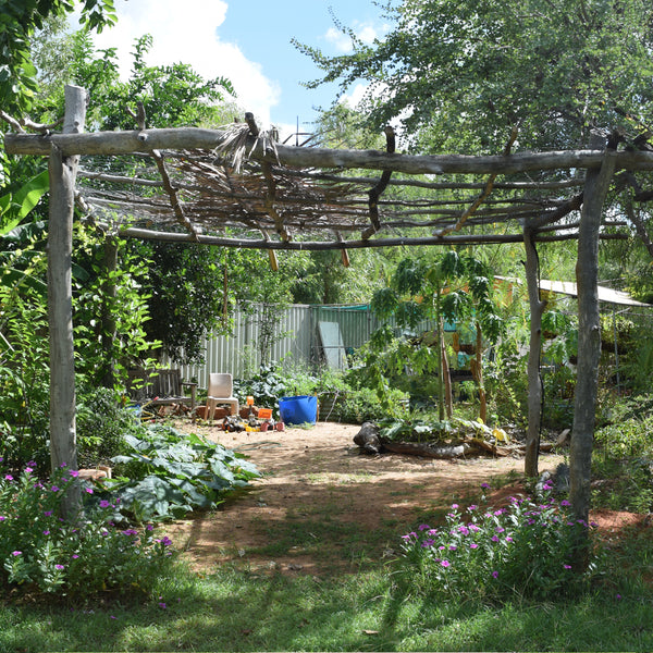 Support the building of therapeutic spaces